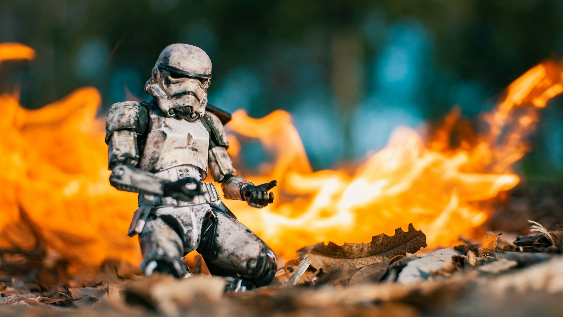 Never Underestimate the Rebels — They’re the Ones Who Can Actually Move the System
